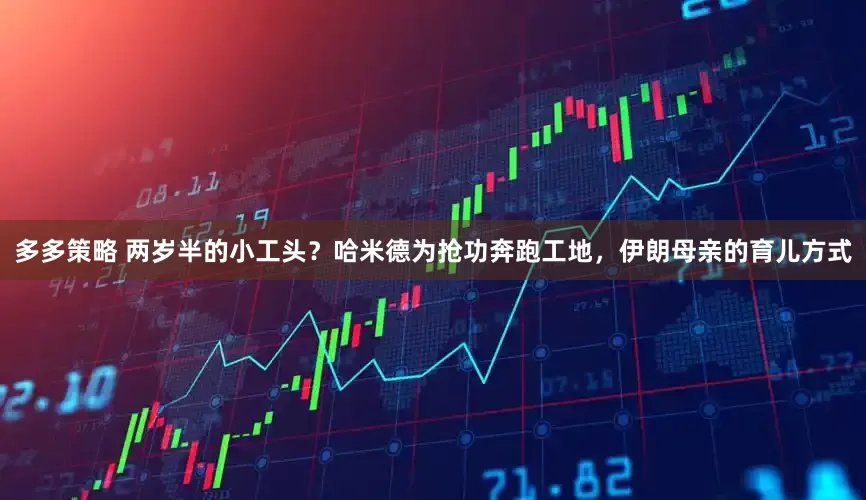 多多策略 两岁半的小工头？哈米德为抢功奔跑工地，伊朗母亲的育儿方式