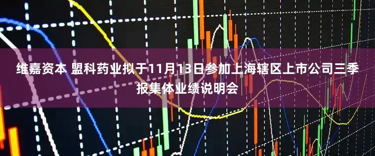 维嘉资本 盟科药业拟于11月13日参加上海辖区上市公司三季报集体业绩说明会